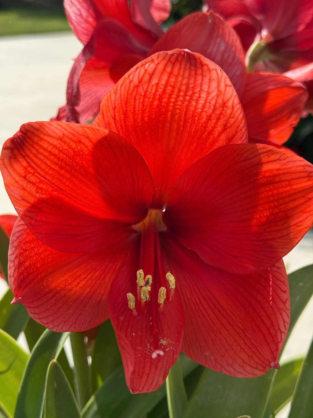 My Photography – Copyright © 2025 Heather Mirassou – All Rights&nbsp;Reserved