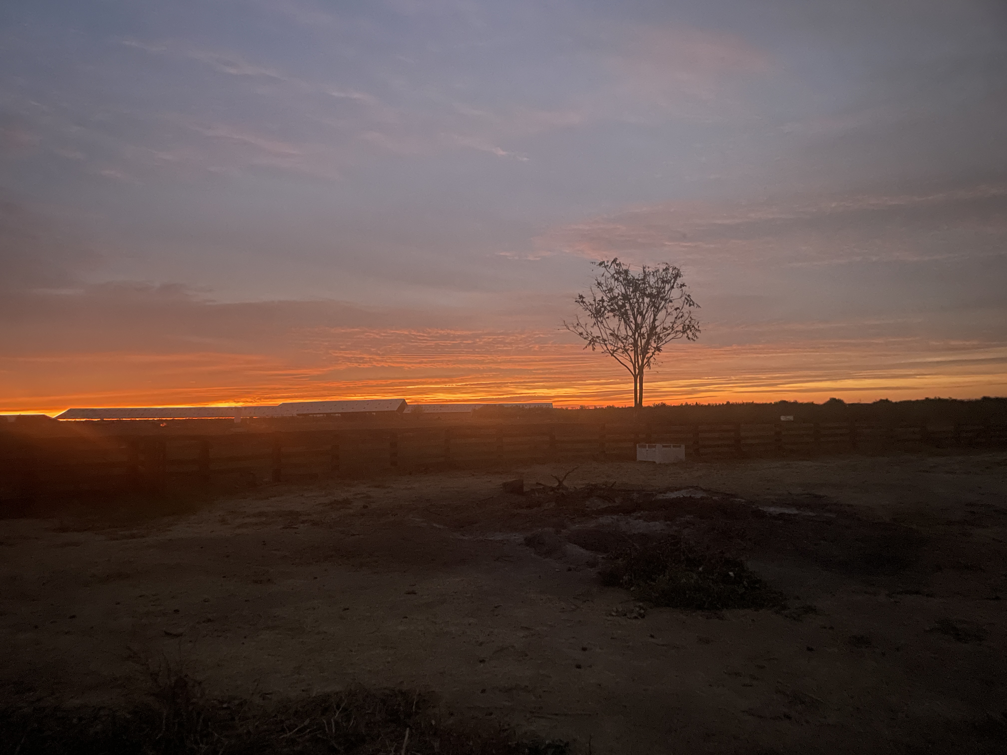 Journey Through the Wilderness – by Heather Mirassou
